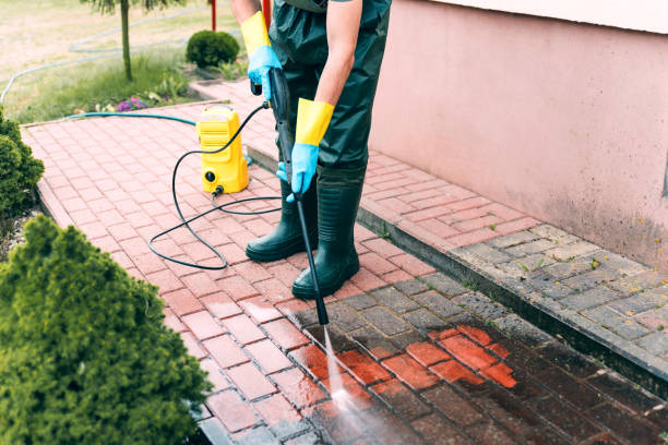 Best Roof Pressure Washing  in Elmer, NJ