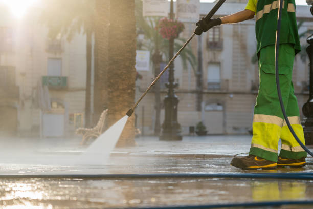 Best Exterior Home Cleaning  in Elmer, NJ