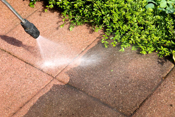 Best Roof Power Washing Services  in Elmer, NJ